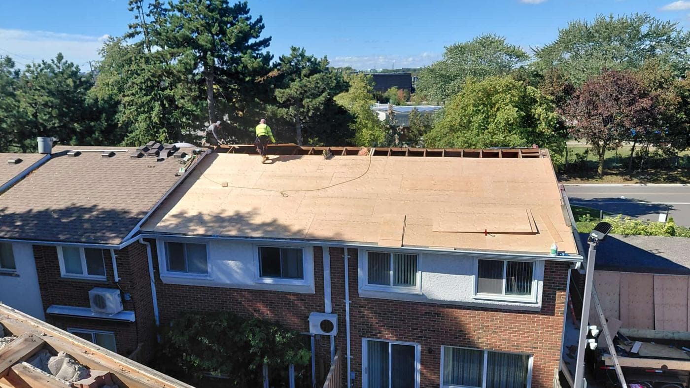 New plywood roof deck on a townhouse