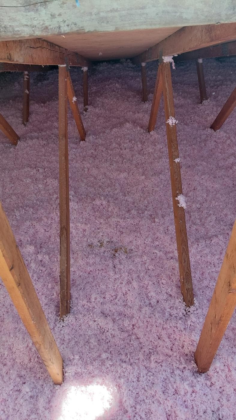 Attic insulation and trusses