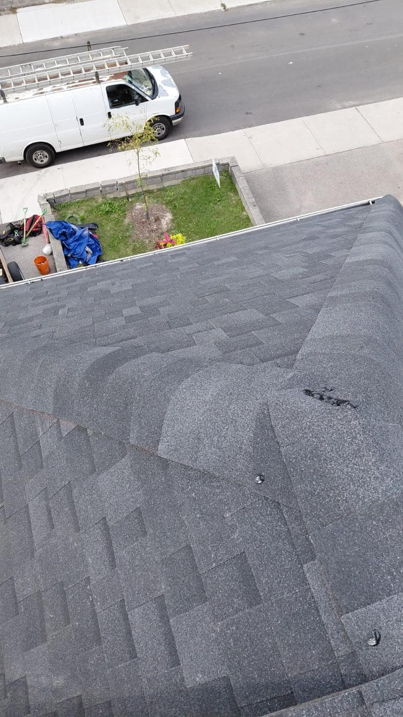 Finished charcoal shingle roof