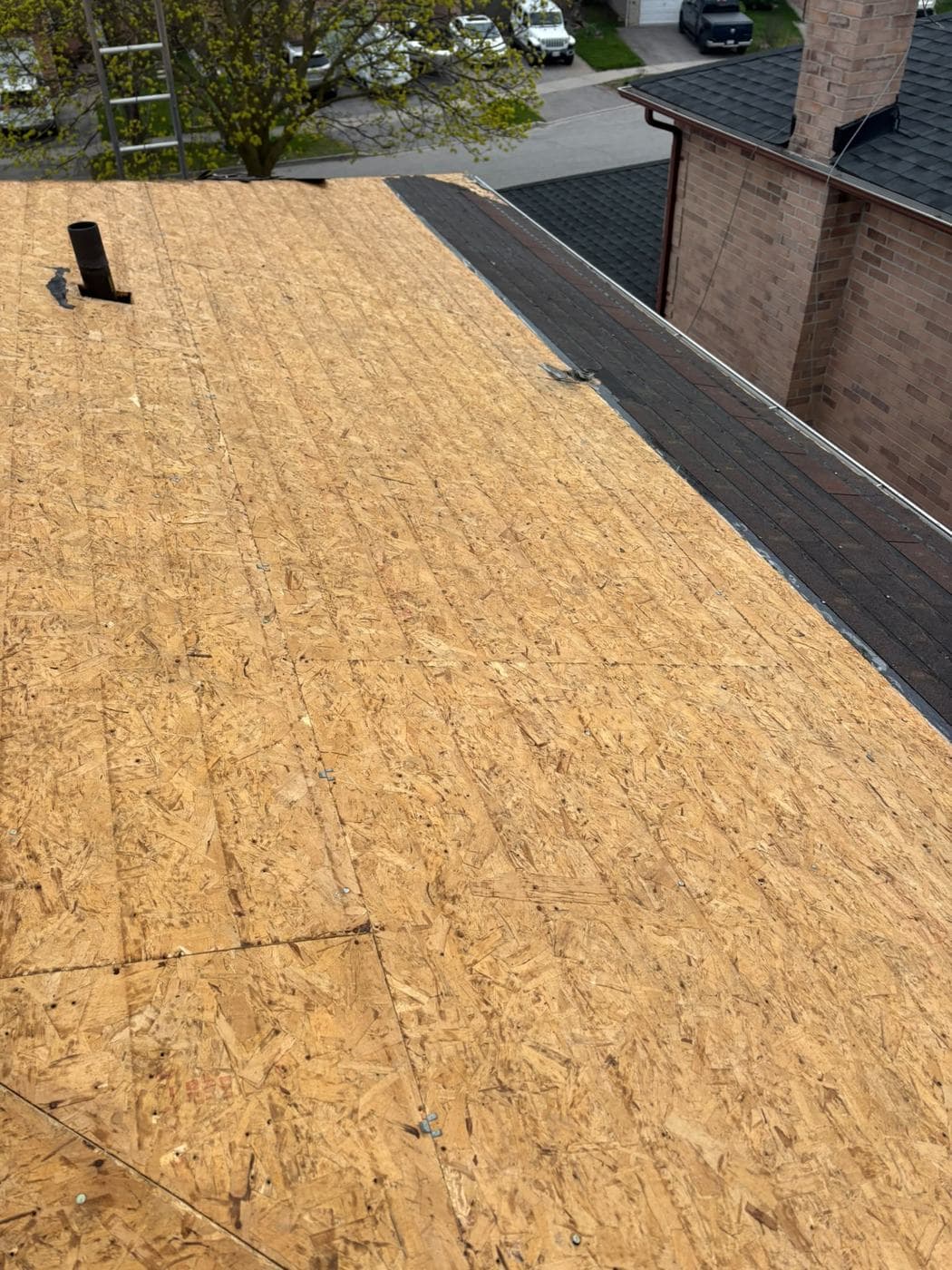 New OSB roof deck next to a neighbouring chimney