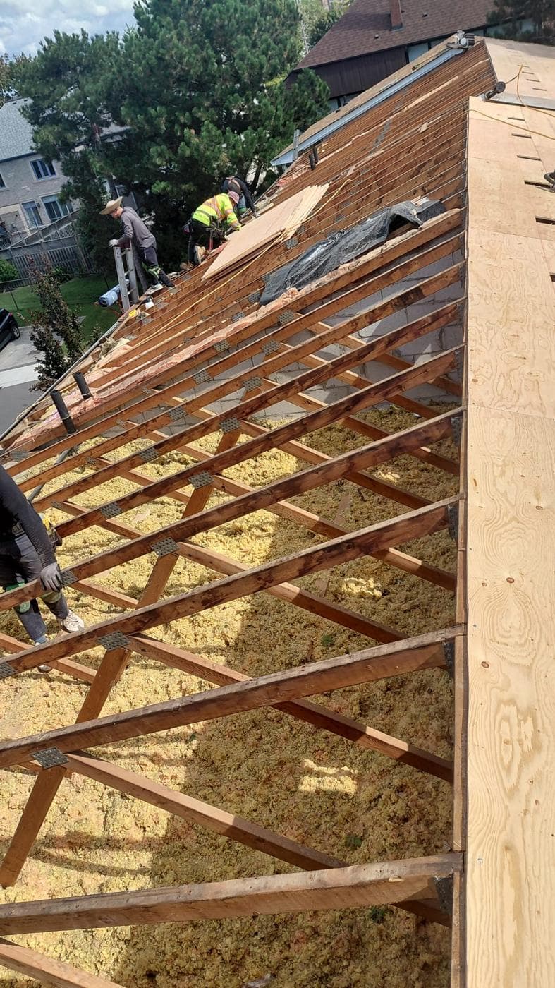 Crew re-decking a roof over open trusses